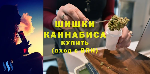 Альфа ПВП Вязьма