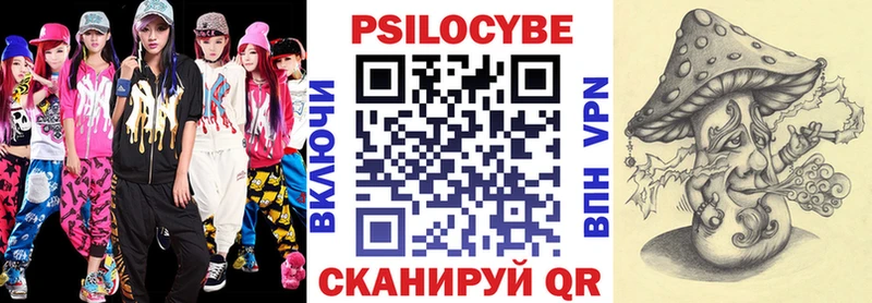 Галлюциногенные грибы Psilocybe Луза