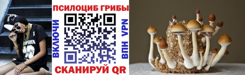 Купить  Луза  Галлюциногенные грибы ЛСД 